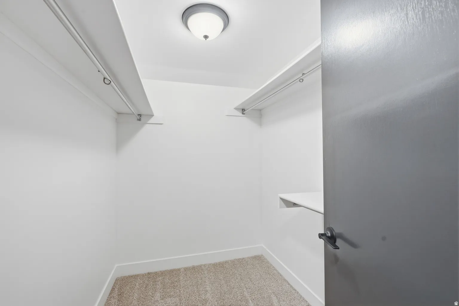 Walk-in closet with integrated shelving, overhead lighting, and carpet flooring