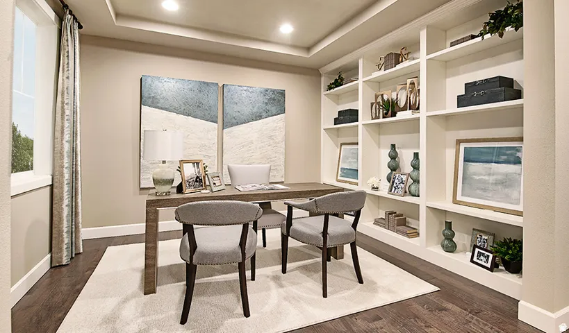 Built-in shelving, tray ceiling, recessed lighting, wood-finish flooring, and a large window