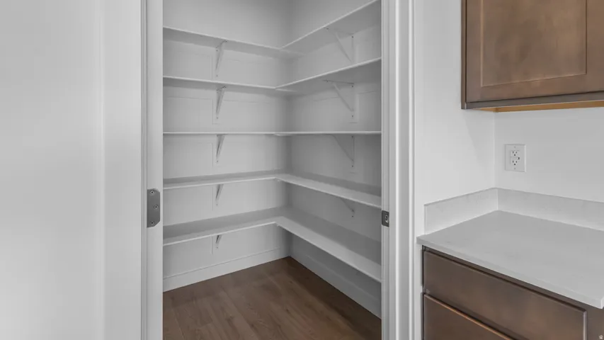 Walk-in pantry with extensive shelving and wood-finish flooring