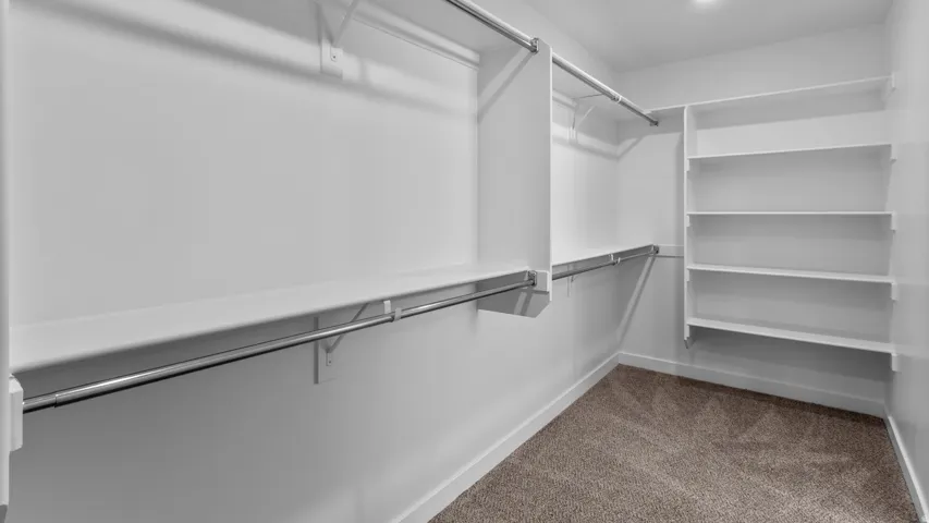 Carpeted walk-in closet featuring white built-in shelving, white walls, and chrome hanging rods