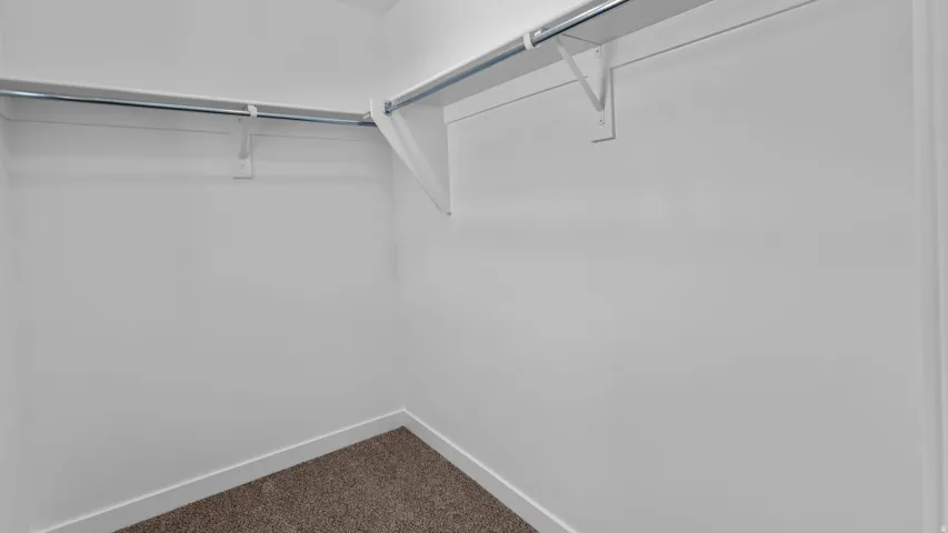 Wall-mounted clothes rods with shelving, white wall finishes, and carpet flooring