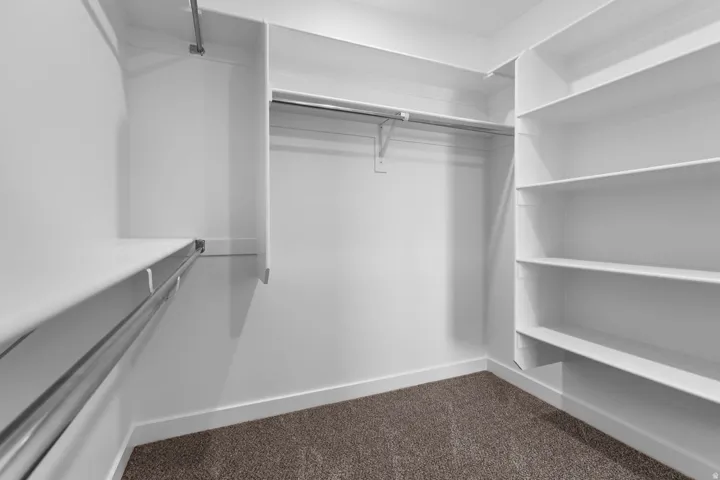 Expansive walk-in closet featuring white built-in shelving, chrome hanging rods, and plush carpeting