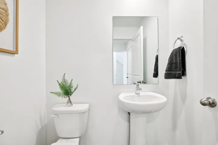 Pedestal sink with chrome faucet, wall-mounted rectangular mirror, and white toilet