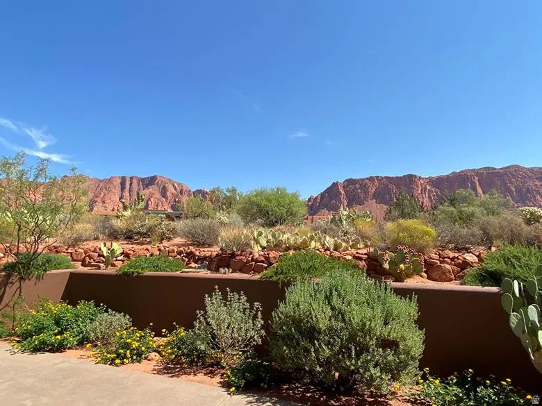 Desert Landscaping with Established Plantings and a Visible Mountain Backdrop