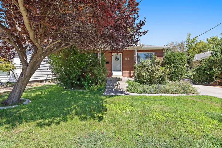 Brick exterior with a covered entry, mature landscaping, and a concrete driveway