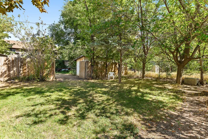 Expansive lawn area, mature trees, wood fence, and a storage shed
