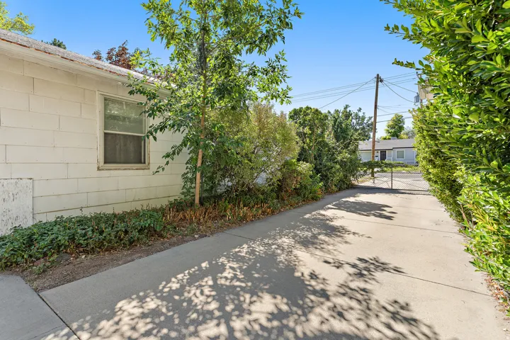 Concrete driveway with mature privacy hedges and established trees