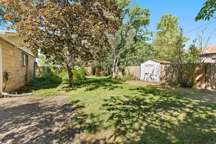 Expansive backyard with a manicured lawn, established trees, and a functional storage shed