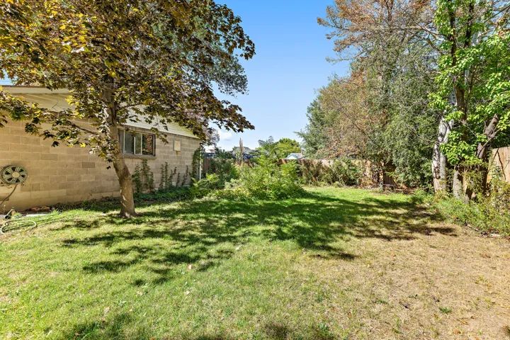 Expansive grassy yard area with mature trees and perimeter fencing