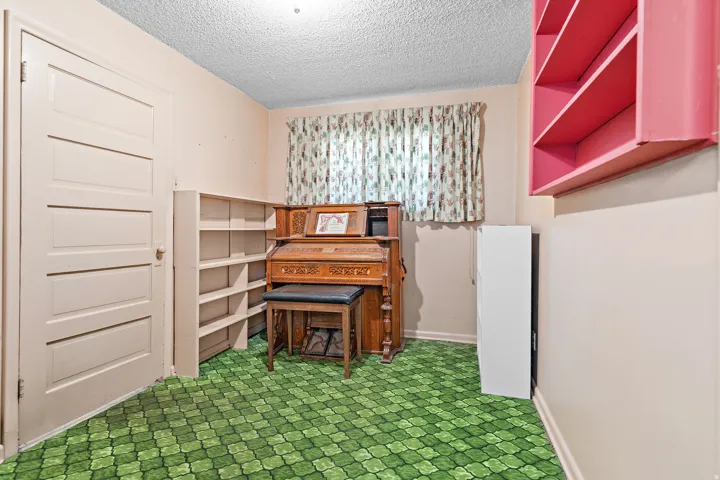 Green patterned carpeting, built-in shelving, and white paneled door