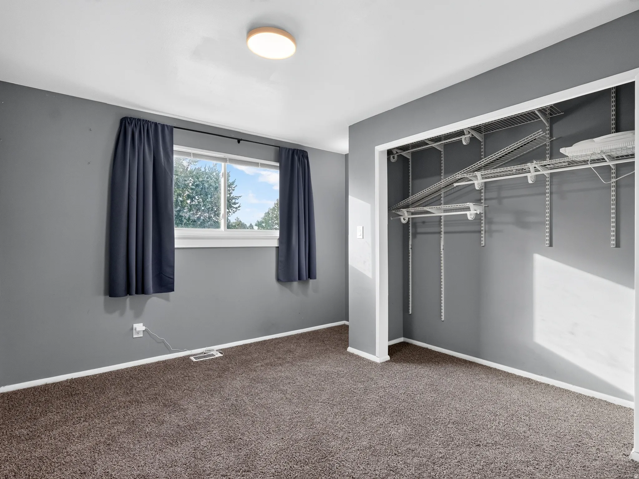 Plush carpeting and a window with white trim
