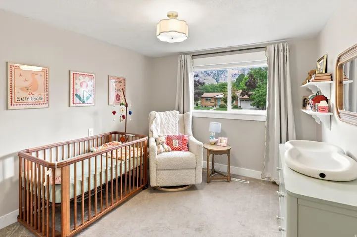 Neutral wall paint, ceiling-mounted light fixture, window with drapes, and carpeting