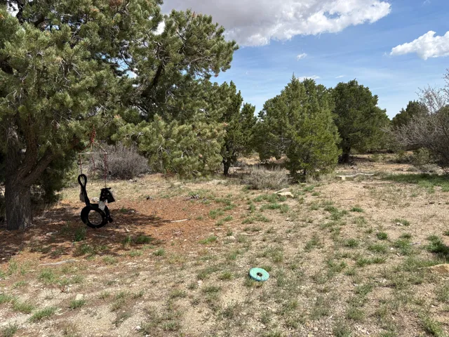 33953 W 8000 S, Duchesne, Utah 84021