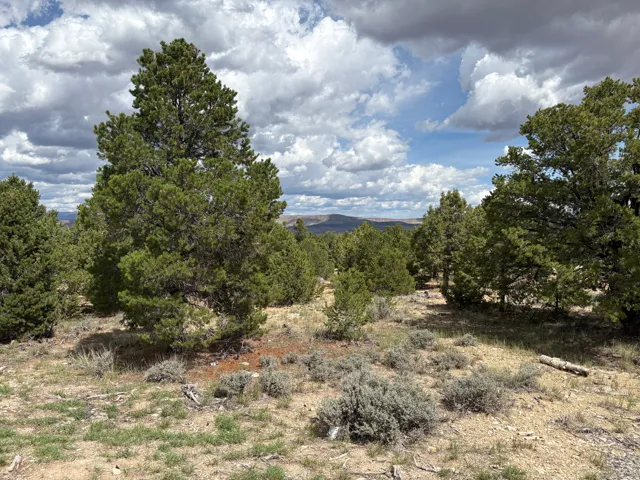 33953 W 8000 S, Duchesne, Utah 84021