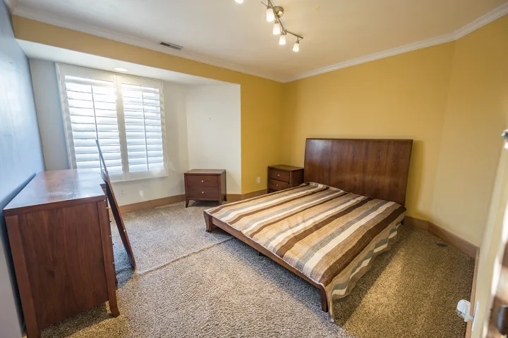 Carpeted room with a wide window featuring plantation shutters, crown molding, and a track lighting fixture