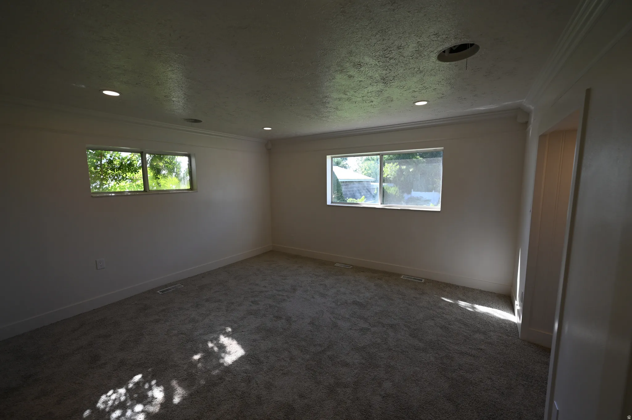 Recessed lighting, wall-to-wall carpeting, crown molding, and two windows