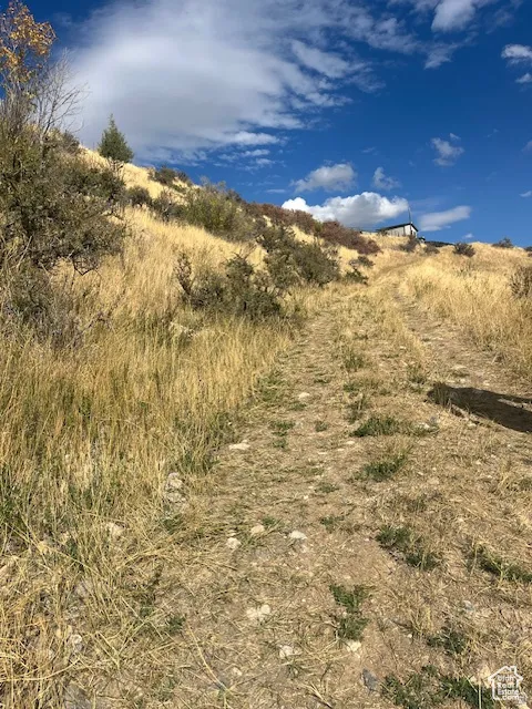 Rolling terrain with natural vegetation
