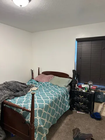 498 E 100 S, Mt Pleasant, Utah 84647