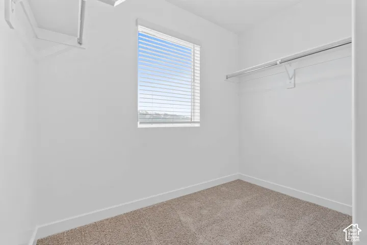 Carpeted interior space with a window featuring horizontal blinds, a clothing rod, and an upper shelf