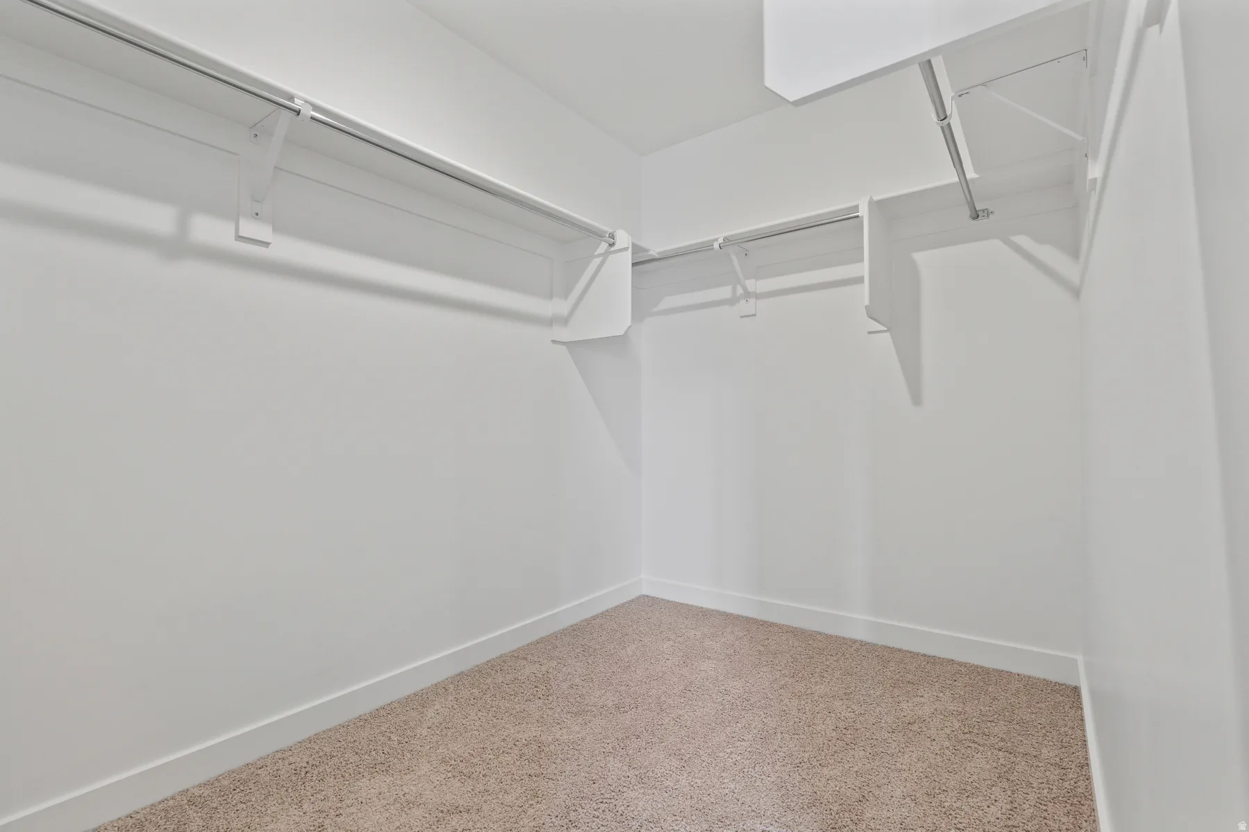 Expansive walk-in closet featuring carpet flooring, white walls, and built-in shelving with hanging rods