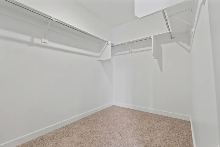 Expansive walk-in closet featuring carpet flooring, white walls, and built-in shelving with hanging rods