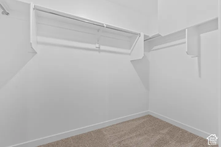 Walk-in closet with white shelving, chrome hanging rods, and carpet flooring