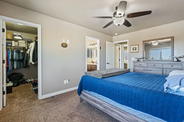 Walk-in closet, ceiling fan, and carpeted flooring