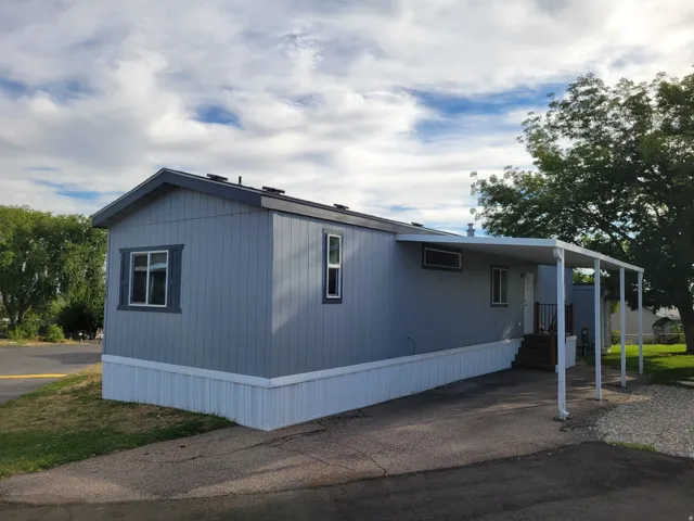 Single-story residence featuring light gray siding, white trim, a carport, and a sloped roof