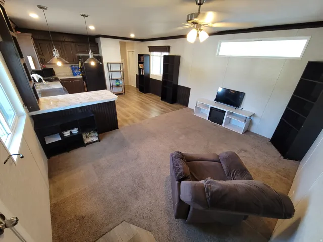 Open-concept living area with carpeted flooring, a ceiling fan, and a transom window