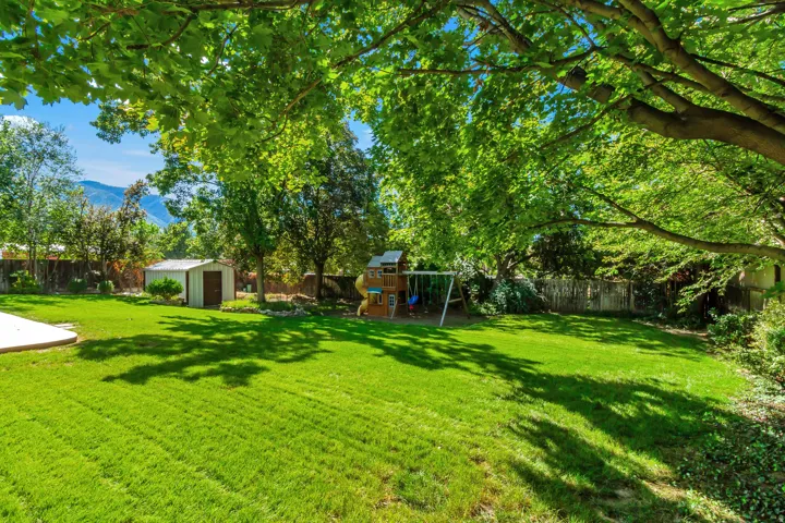 Expansive grassy yard with mature trees, a defined concrete patio, and a storage shed
