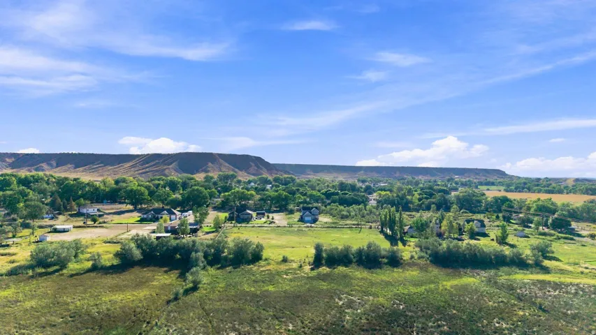 Expansive green landscape featuring varied foliage and distant residential structures