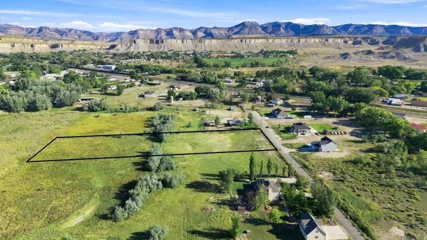 Expansive undeveloped lot with mature trees and a flat topography, bordered by a paved road