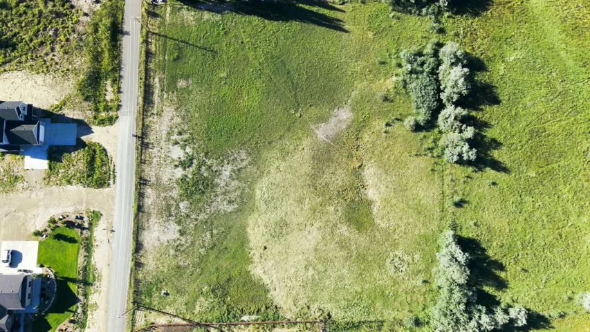 Expansive green space featuring natural vegetation and established trees