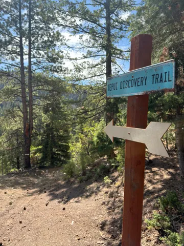 Trail access with directional signage