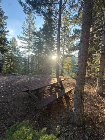 Wood picnic table situated on a sloped, natural terrain with mature evergreen trees