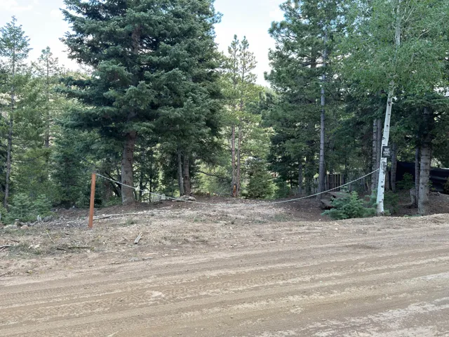 Mature evergreen trees and aspen trees define the property's perimeter