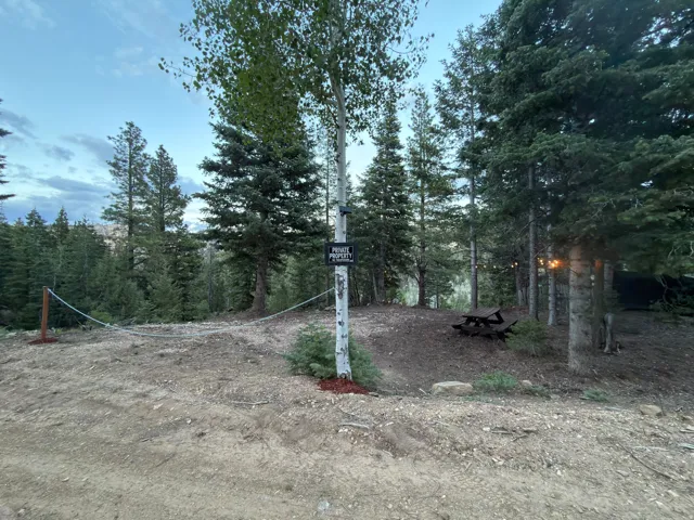 Wood picnic table with bench seating, surrounded by mature evergreen trees