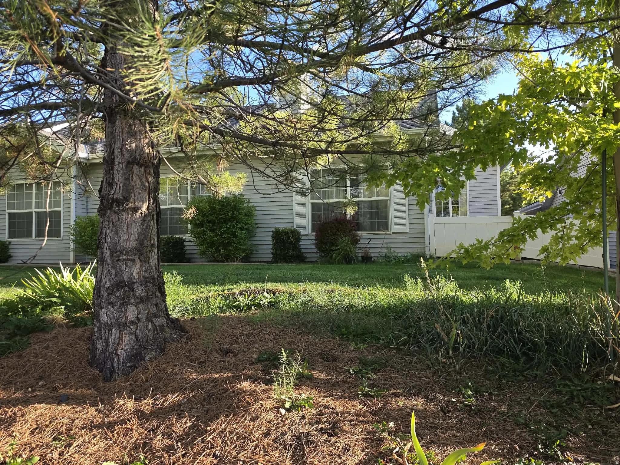 Siding exterior with multiple windows, featuring mature trees and established landscaping