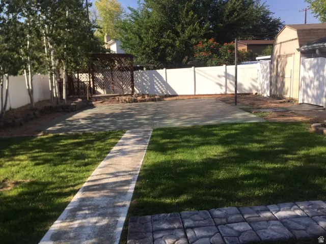 Back yard