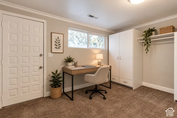 Office space with plenty of storage and walk out entrance