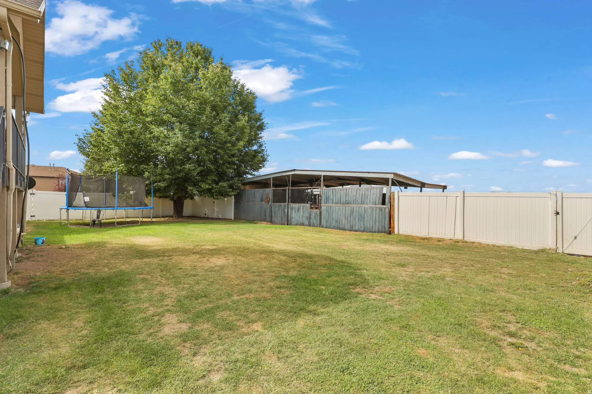Expansive backyard featuring a mature tree, white privacy fencing, and a covered structure