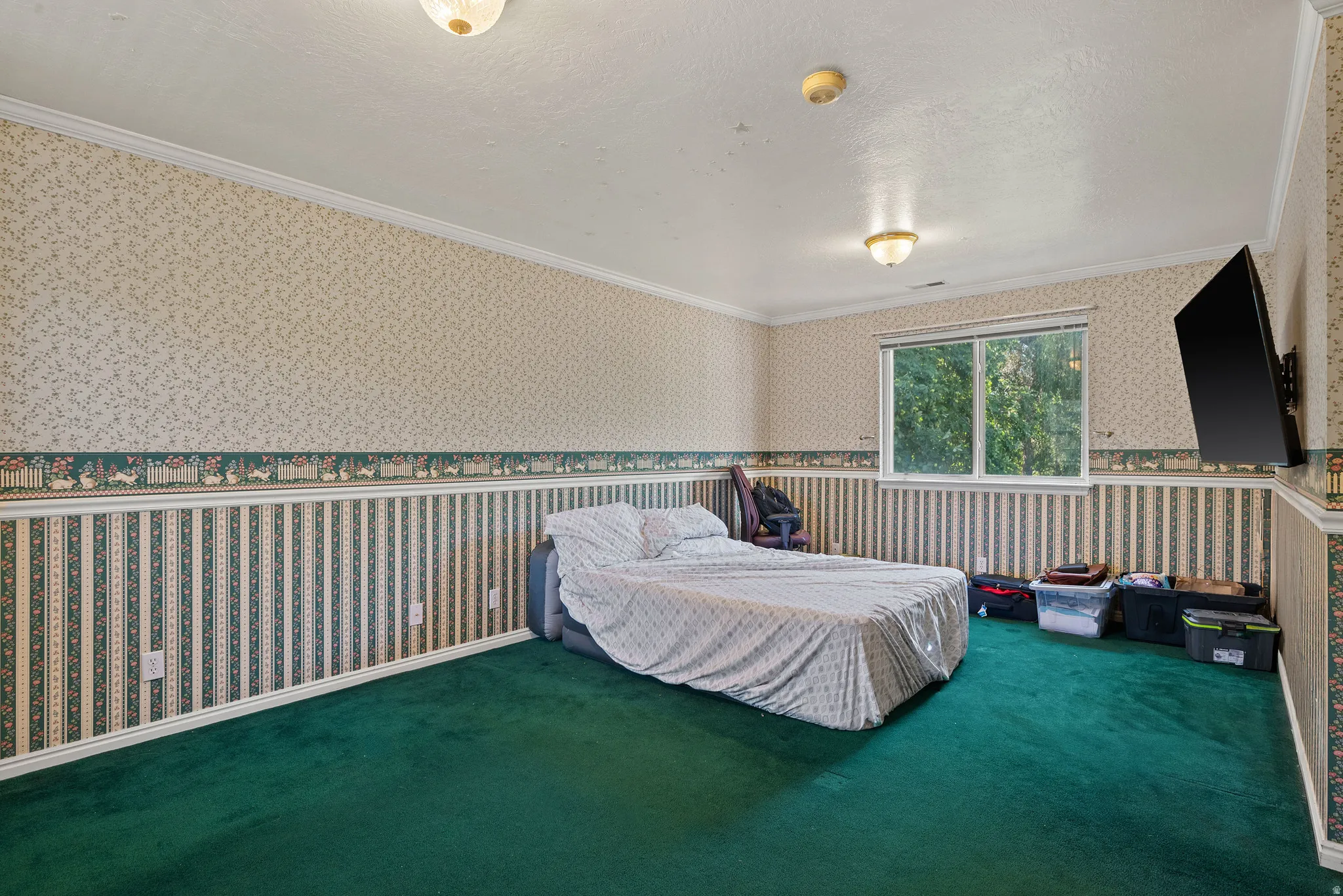 Room featuring wall-to-wall green carpeting, a large window, and wall-mounted lighting fixtures