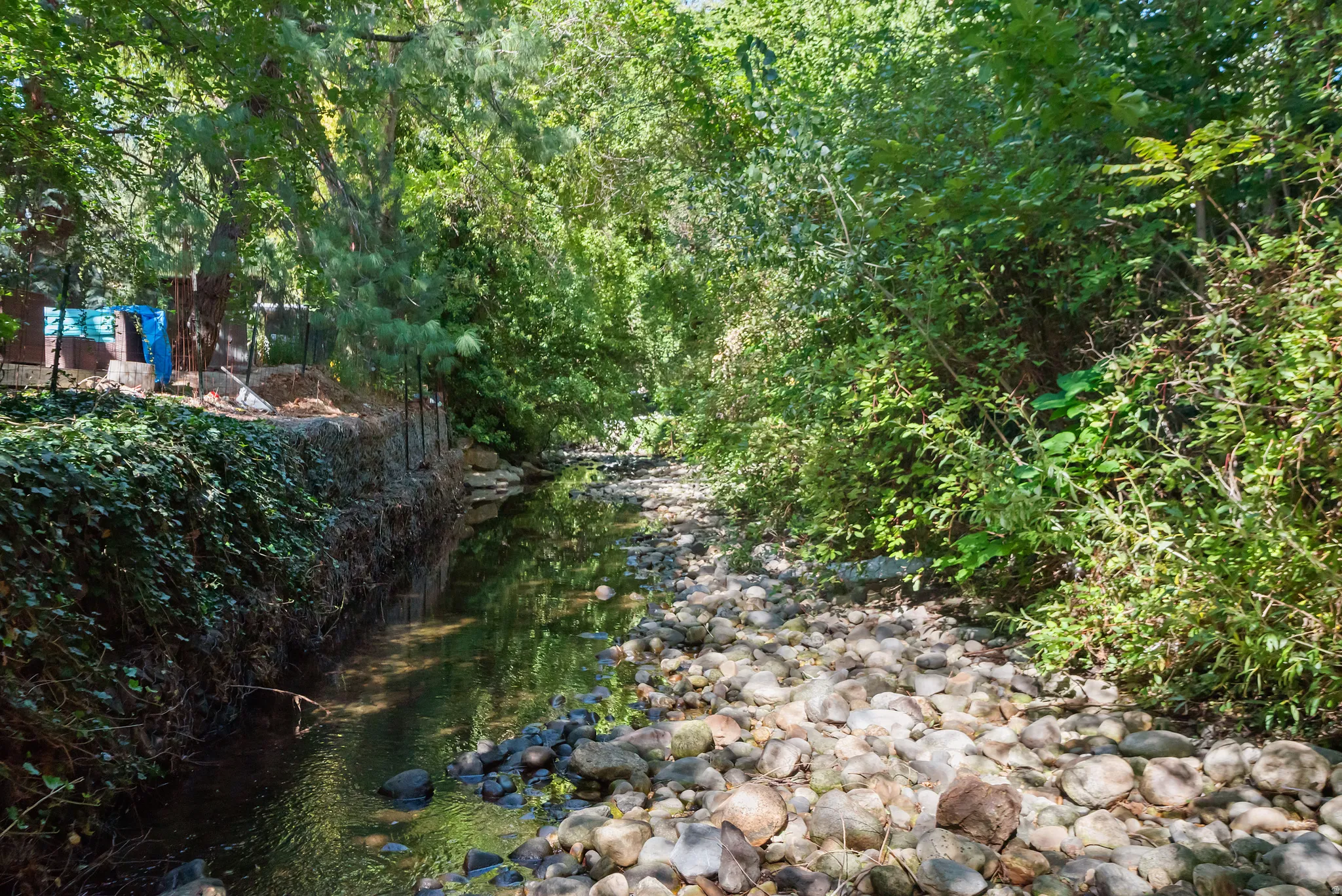 Natural creek with a rocky bed, surrounded by abundant mature trees and rich foliage