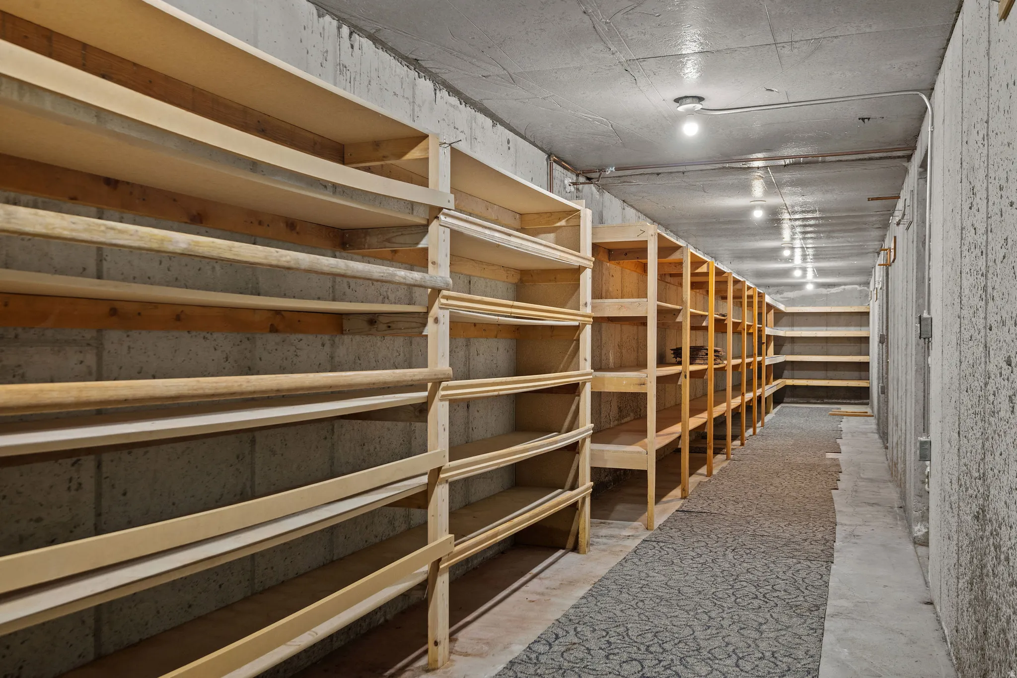 Expansive basement storage area featuring concrete block walls, overhead lighting, and abundant wood shelving