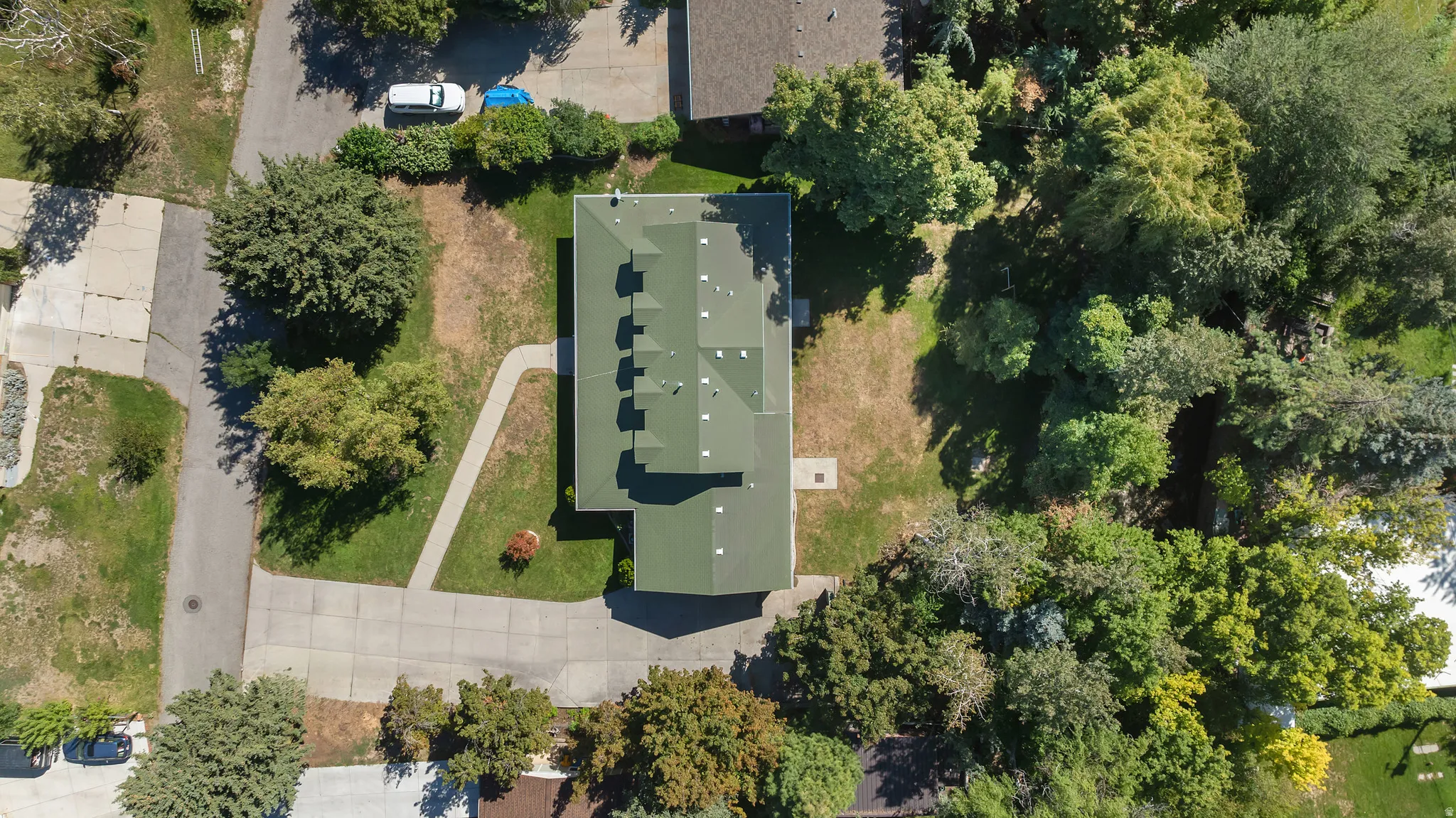 Expansive lot featuring mature trees, a multi-gabled roofline, and a paved driveway