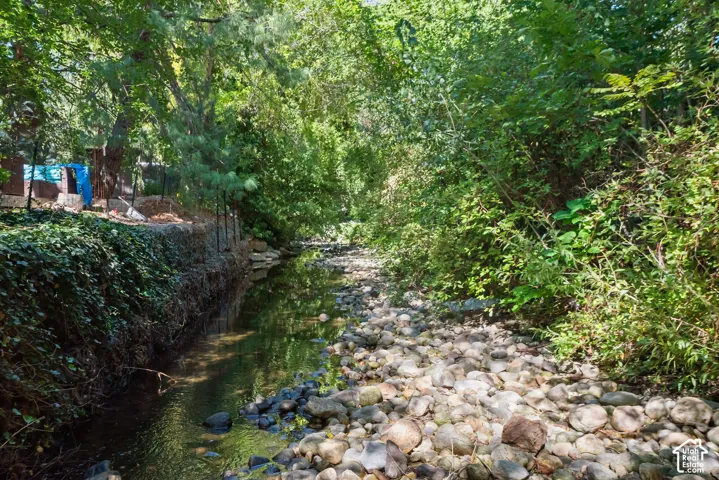 Natural creek with a rocky bed, surrounded by abundant mature trees and rich foliage