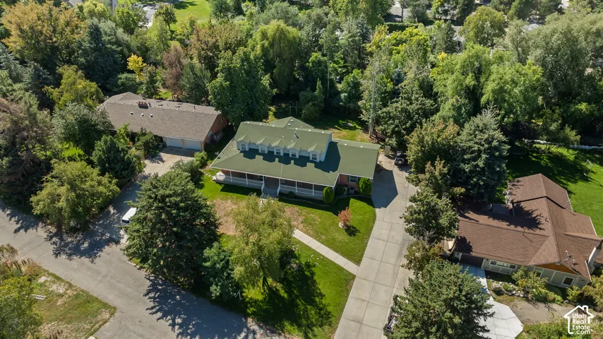 Green roof with multiple dormer windows, covered front porch, mature trees, and a concrete driveway
