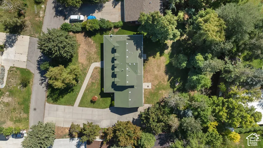 Expansive lot featuring mature trees, a multi-gabled roofline, and a paved driveway