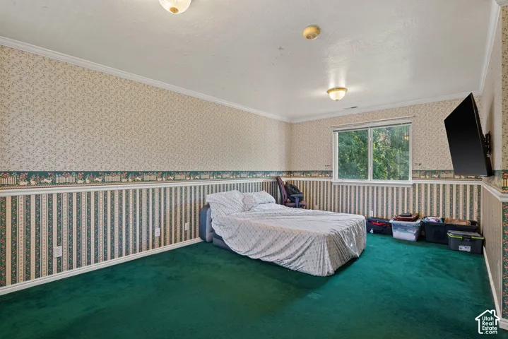 Room featuring wall-to-wall green carpeting, a large window, and wall-mounted lighting fixtures