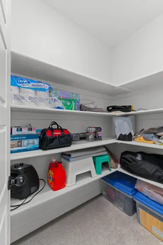 Walk-in closet featuring white built-in shelving, white walls, and a light-colored carpeted floor